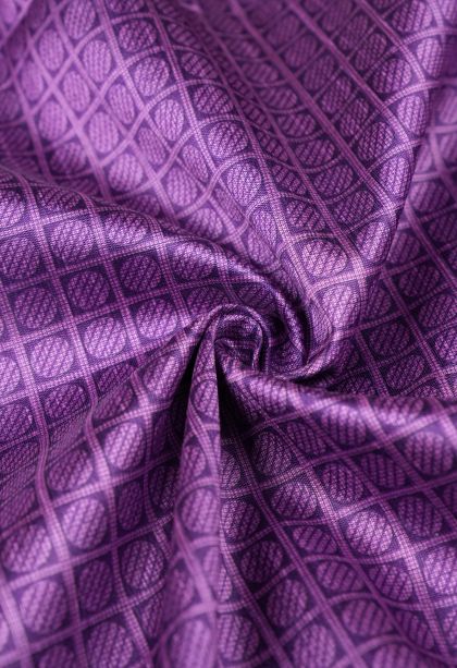 Iris Purple Tussar Saree with Without Zari Zari Geometric Shapes