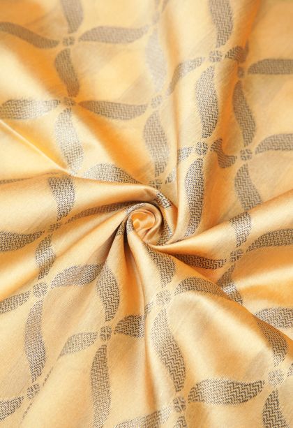 Biscotti Yellow Tussar Saree with Without Zari Zari Checks
