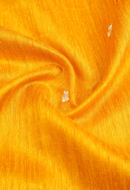 Gold Tussar Saree with Without Zari Zari Buttis (small Dots Or Motifs)