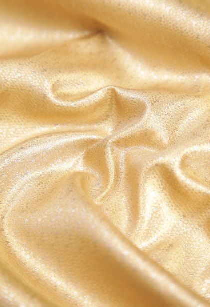 Gold Tissue Silk Sarees with Silver Zari Floral Patterns