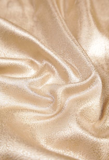 Gold Tissue Silk Sarees with Silver Zari Floral Patterns