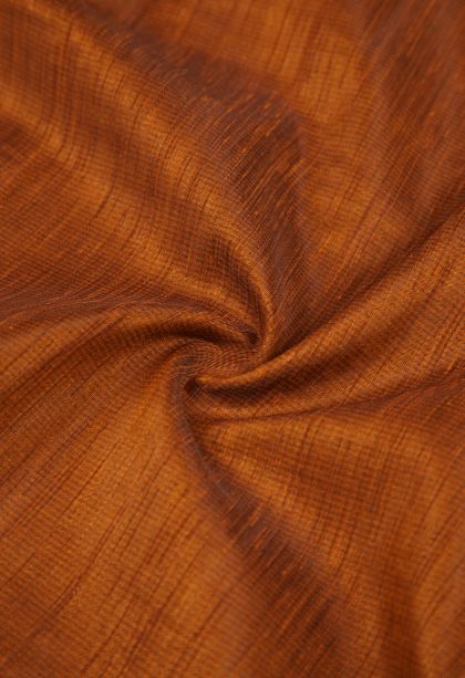 Bronze Orange Tussar Saree with Without Zari Zari Plain
