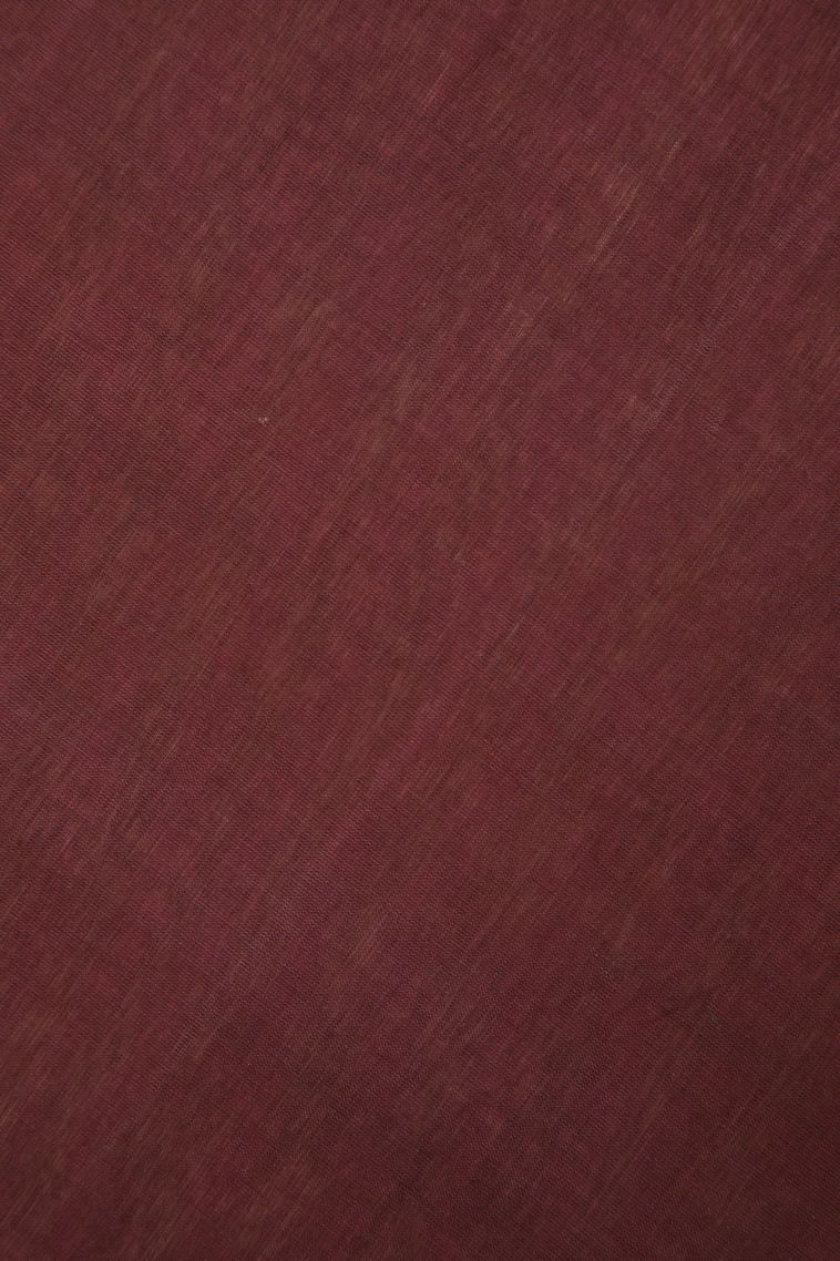 Blush Red Pure Handloom Kovai Cotton with Without Zari Zari Buttis (small Dots Or Motifs) view 3