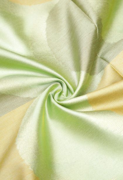 Mint Green Tussar Saree with Without Zari Zari Floral Patterns