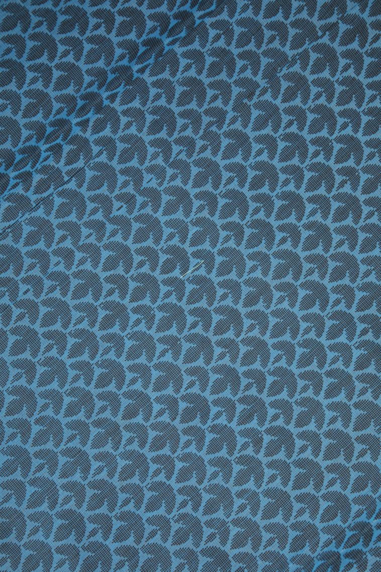 Sky Blue Silk Cotton with Without Zari Zari Buttis (small Dots Or Motifs) view 3