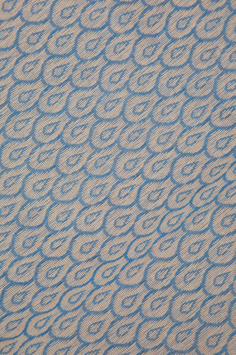 Sky Blue Silk Cotton with Without Zari Zari Buttis (small Dots Or Motifs) view 3