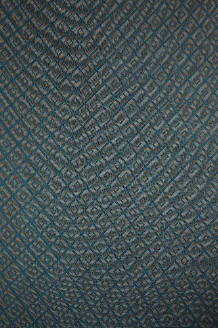 Cerulean Blue Silk Cotton with Copper Zari Floral Patterns view 3