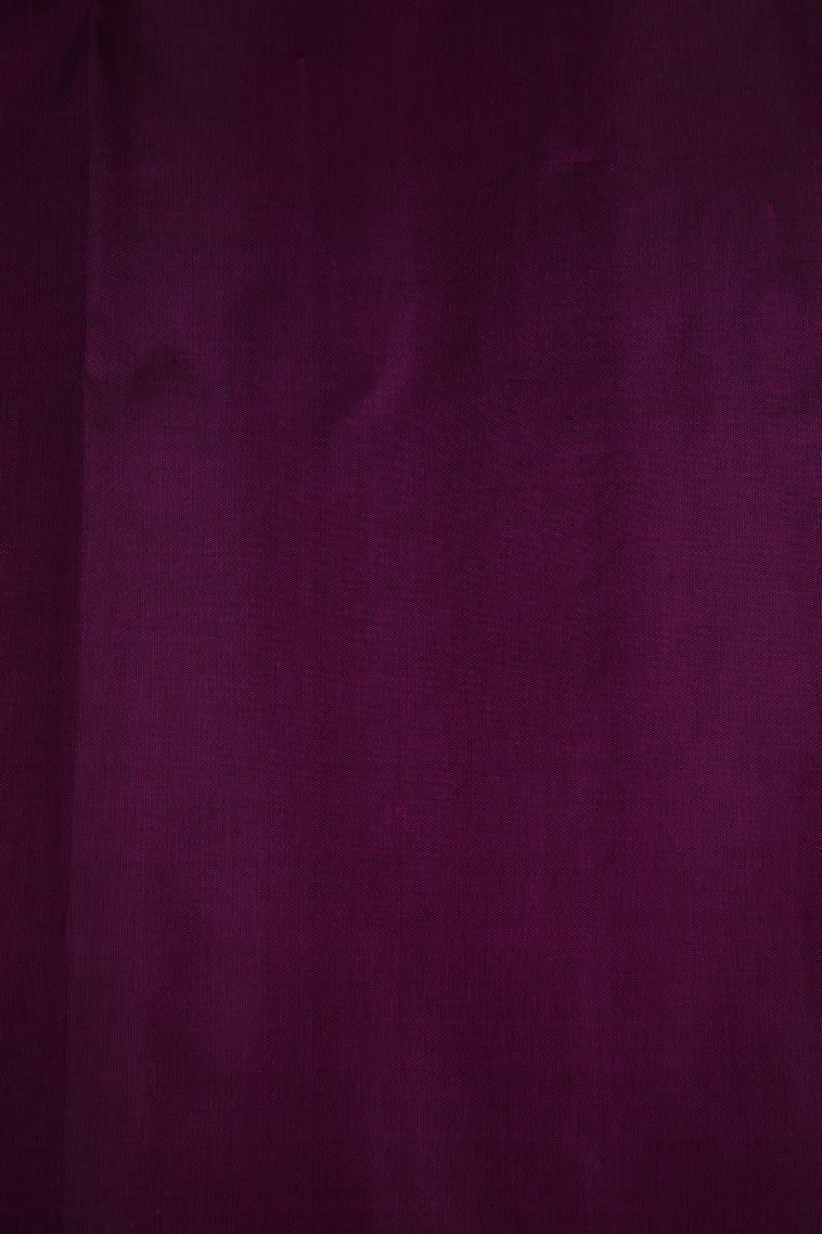Magenta Purple Kanchipuram Silk Sarees with Gold Zari Buttis (small Dots Or Motifs) view 3