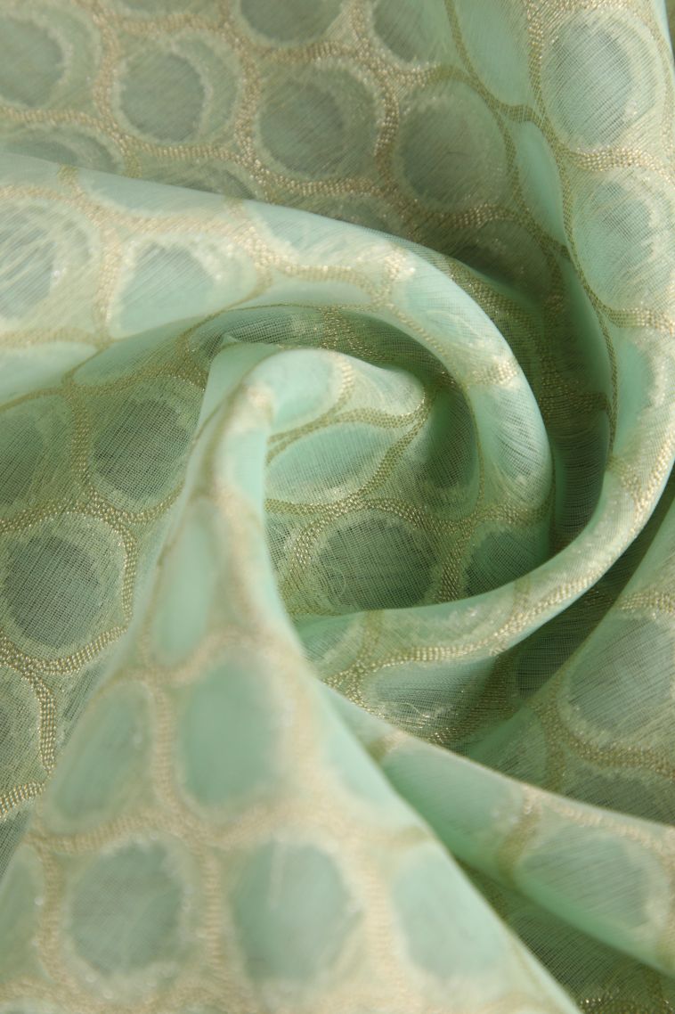 Mint Green Organza Saree with Antic Zari Geometric Shapes view 4