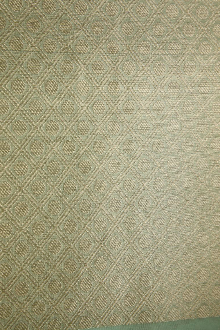 Mint Green Organza Saree with Antic Zari Geometric Shapes view 3