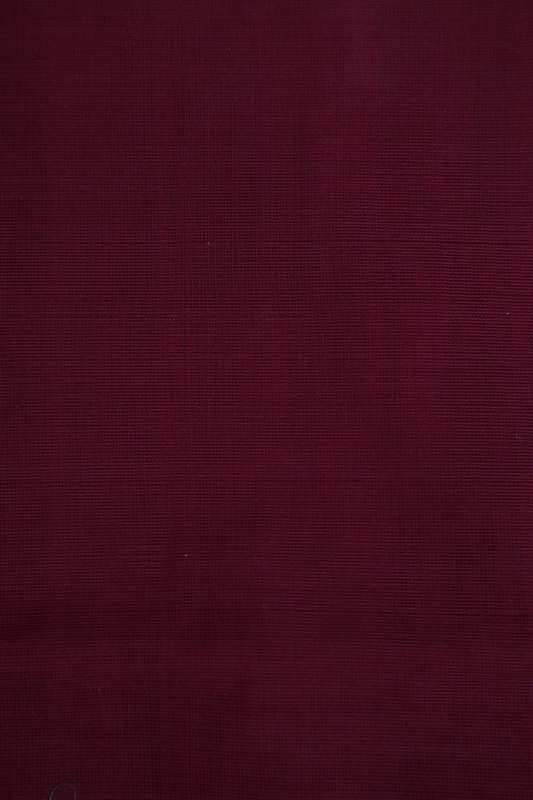 Basil Green Pure Handloom Kovai Cotton with Without Zari Zari Floral Patterns view 3