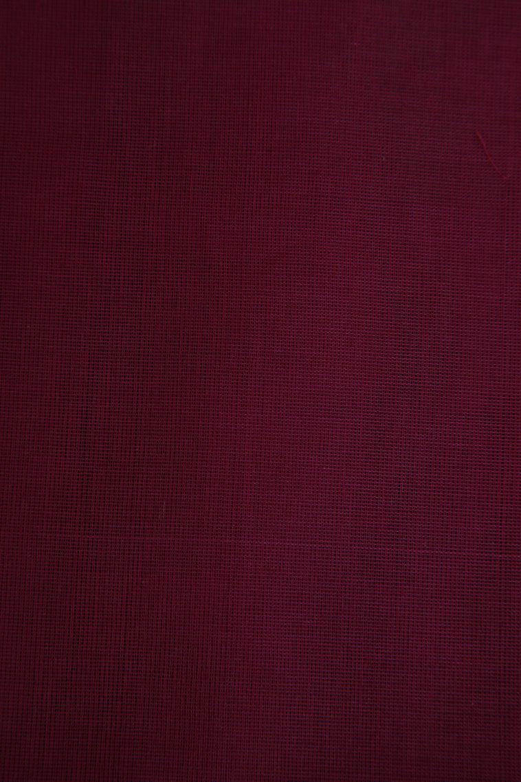 Sage Green Pure Handloom Kovai Cotton with Without Zari Zari Floral Patterns view 3