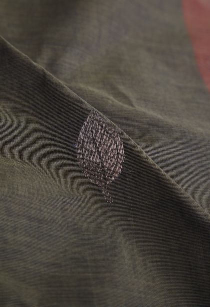 Sage Green Pure Handloom Kovai Cotton with Without Zari Zari Floral Patterns