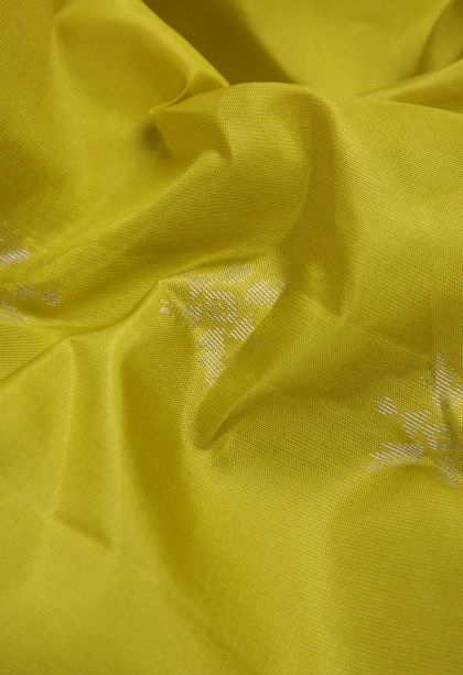 Gold Soft Silk Saree with Gold And Silver Zari Floral Patterns