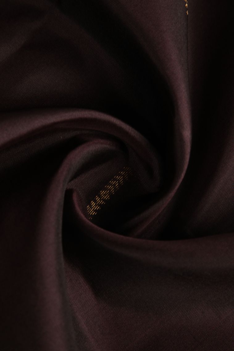 Carob Brown Soft Silk Saree with Gold Zari Raindrops Model view 4