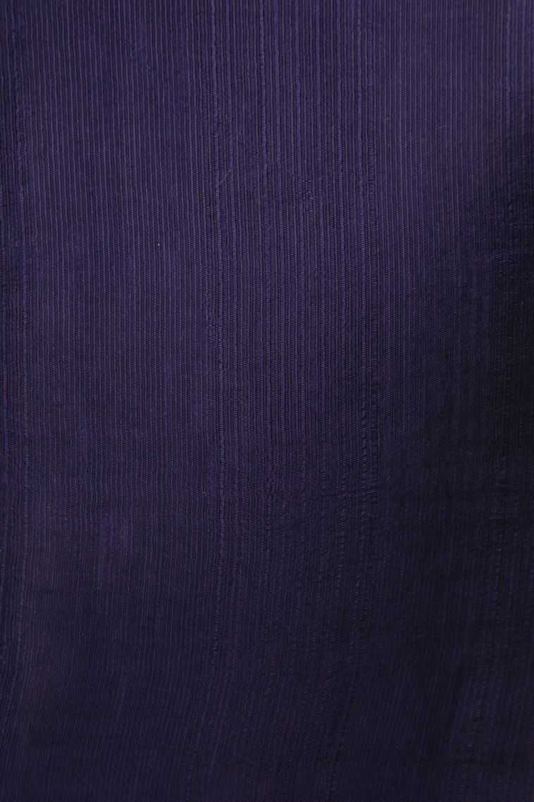 Indigo Blue Semi Tussar Silk with Without Zari Zari Buttis (small Dots Or Motifs) view 3