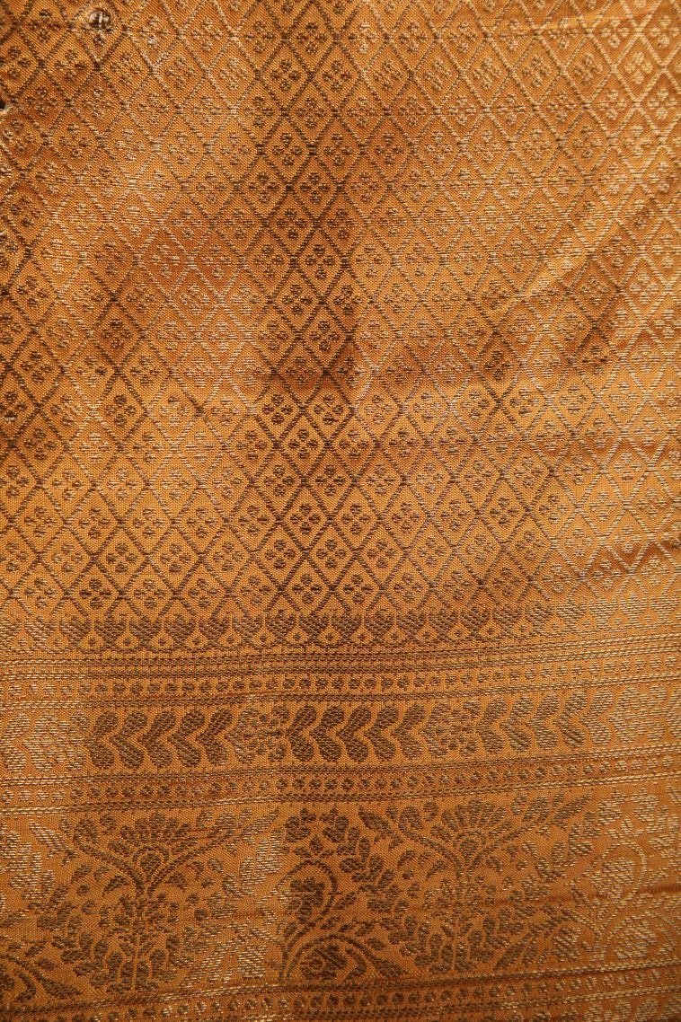 Arctic Blue Semi Raw Silk Printed with Antic Zari Thilagam Puttas view 3