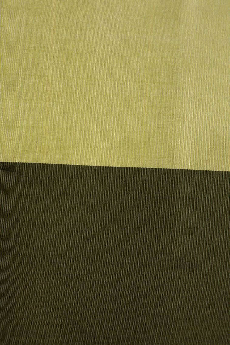 Olive Green Soft Silk Saree with Gold Zari Checks view 3