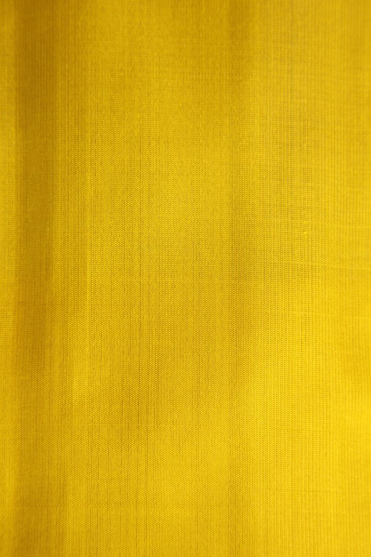 Pine Green Soft Silk Saree with Gold Zari Mango Puttas view 3