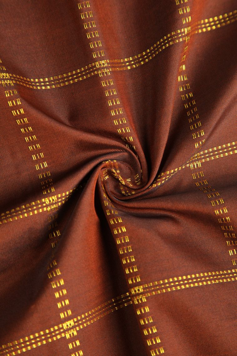 Tawny Brown Soft Silk Saree with Gold Zari Checks view 4