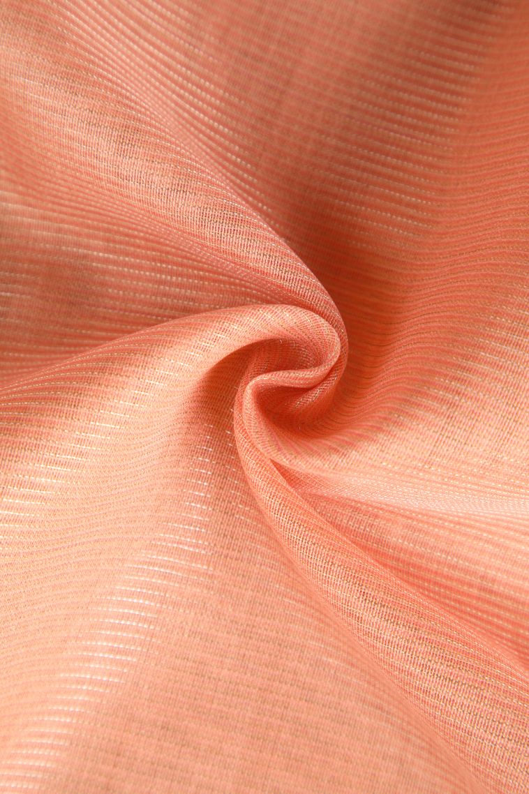 Coral Pink Organza Saree with Silver Zari Plain view 4