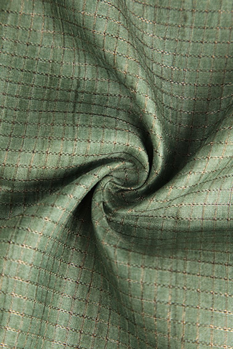 Sage Green Semi Tussar Silk with Gold Zari Story Telling view 4