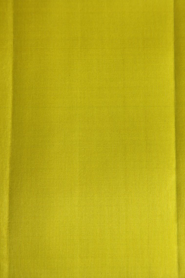 Indigo Blue Soft Silk Saree with Silver Zari Floral Puttas view 3