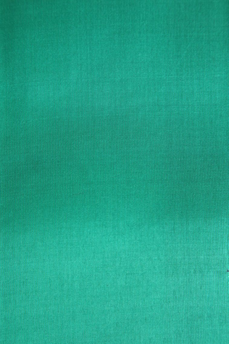 Candy Red Soft Silk Saree with Copper Zari Thilagam Puttas view 3