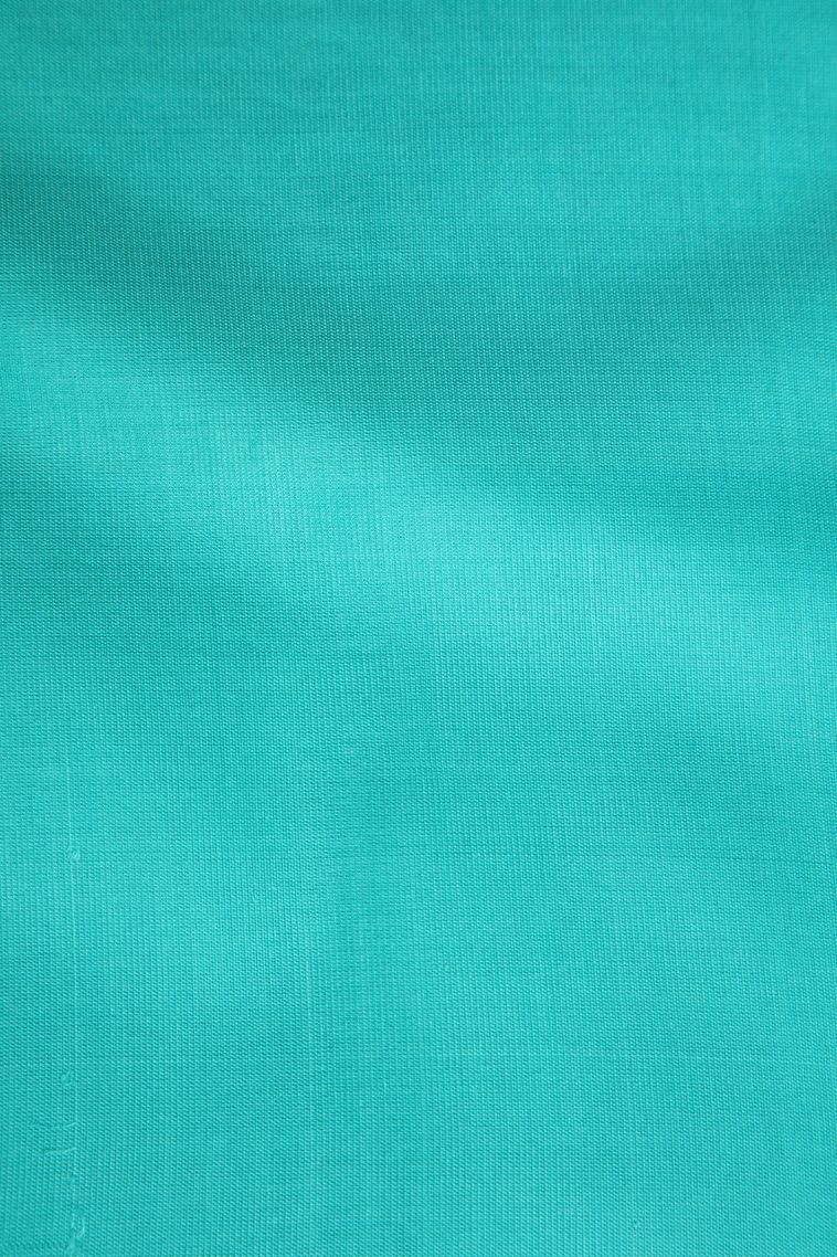 Mint Green Soft Silk Saree with Silver Zari Checks view 3