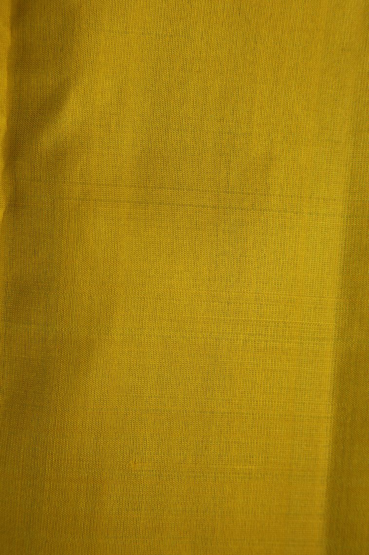 Sapphire Blue Soft Silk Saree with Gold And Silver Zari Floral Patterns view 3