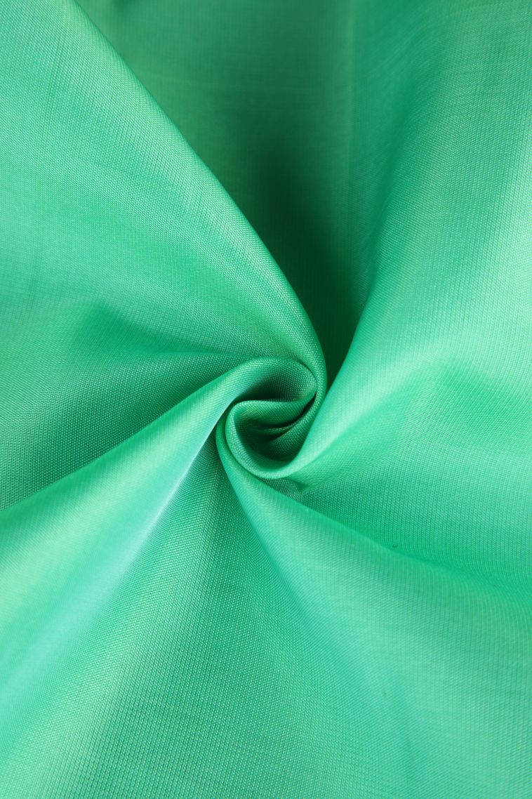 Mint Green Soft Silk Saree with Copper Zari Peacock Motifs view 4