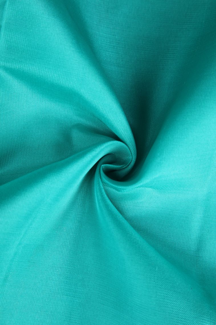 Sky Blue Soft Silk Saree with Copper Zari Floral Puttas view 4