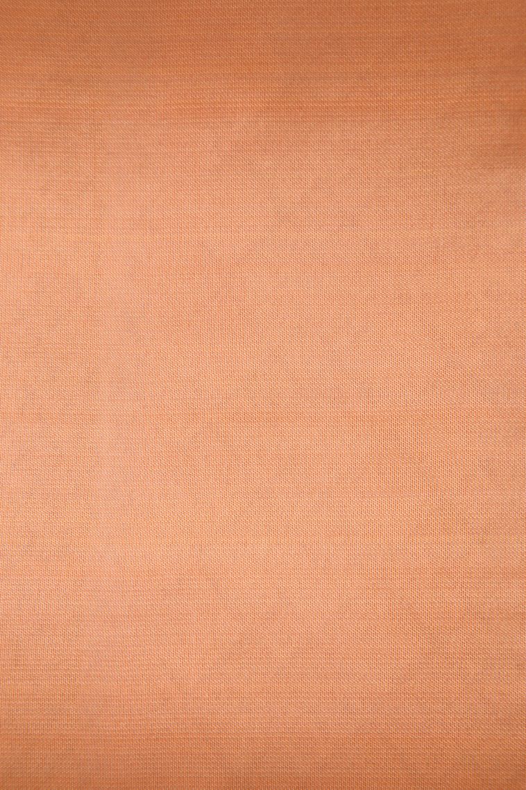Ballet Pink Soft Silk Saree with Copper Zari Floral Patterns view 3
