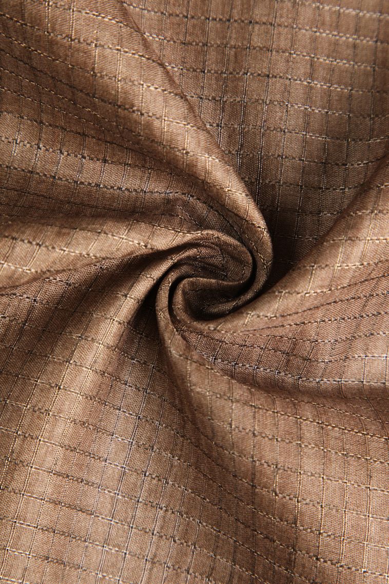 Peanut Brown Semi Tussar Silk with Gold Zari Kalam Kari Pattern view 4