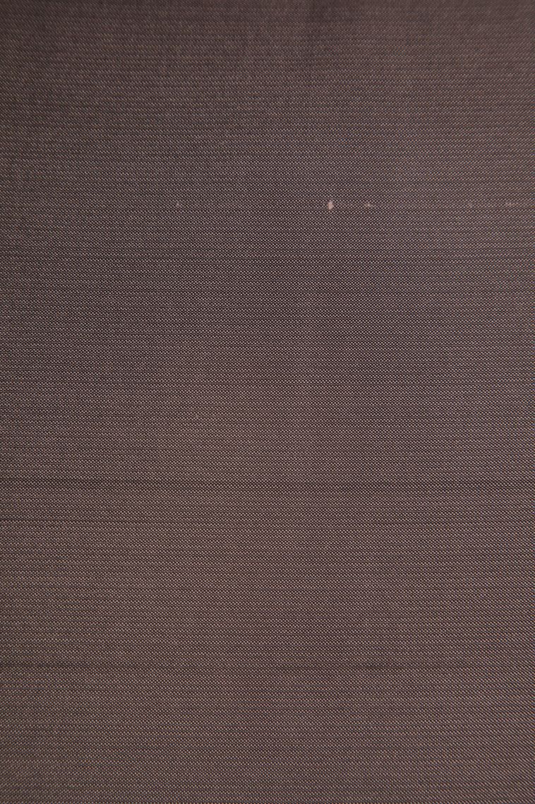 Rust Orange Soft Silk Saree with Copper Zari Buttis (small Dots Or Motifs) view 3