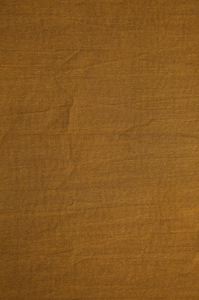 Peanut Brown Cotton Sarees with Without Zari Zari Floral Patterns view 3