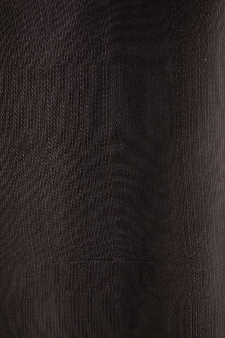 Asphalt Black Semi Tussar Silk with Without Zari Zari Buttis (small Dots Or Motifs) view 3