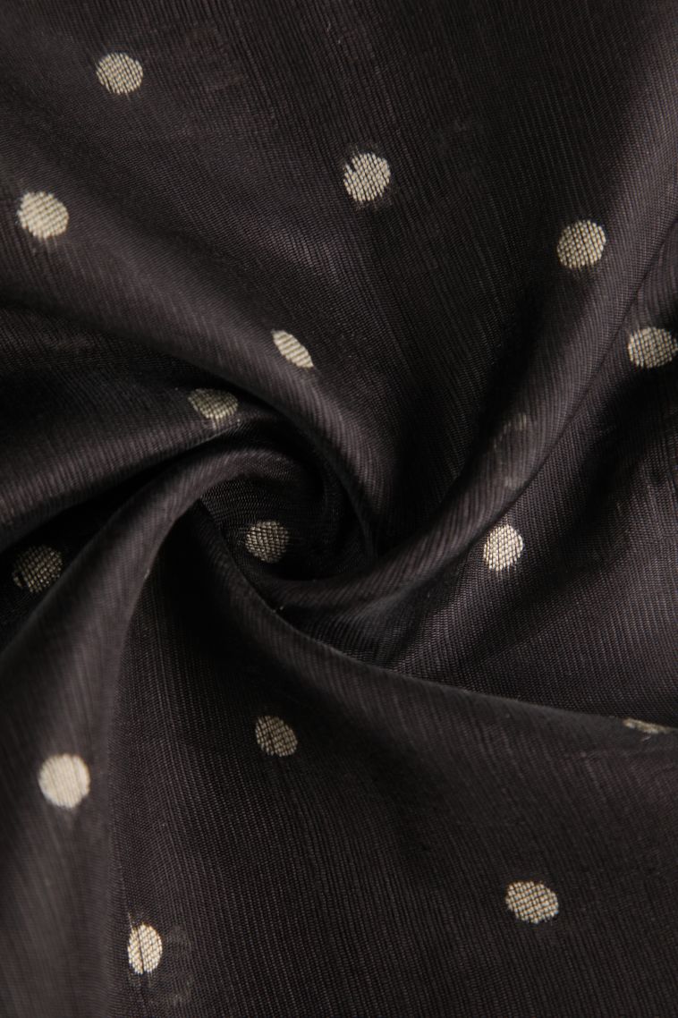 Asphalt Black Semi Tussar Silk with Without Zari Zari Buttis (small Dots Or Motifs) view 4