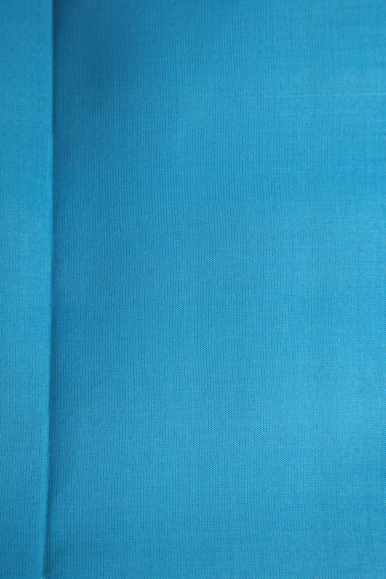 Mint Green Soft Silk Saree with Silver Zari Animal  Mottif view 3