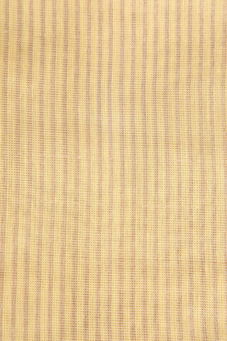 Cookie Yellow Tissue Silk Sarees with Without Zari Zari Plain view 3