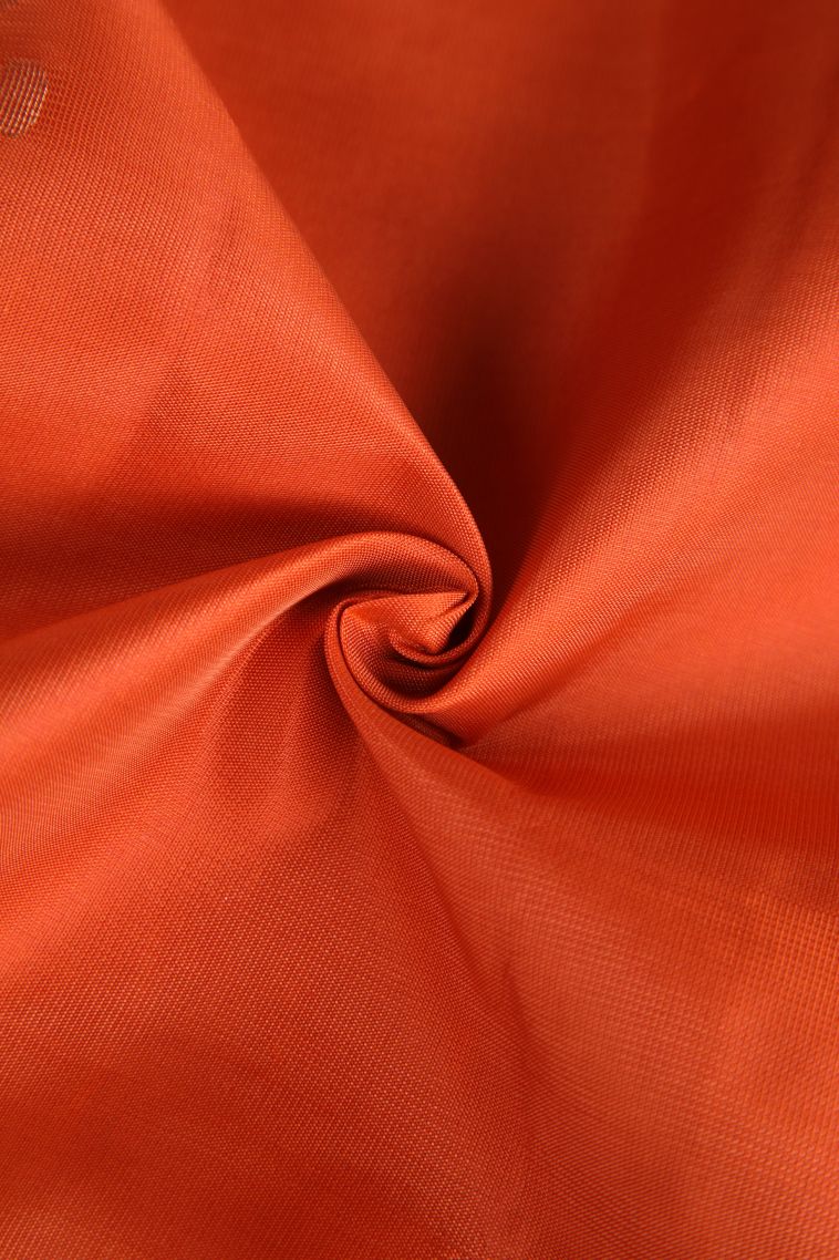 Fire Orange Soft Silk Saree with Copper Zari Floral Puttas view 4