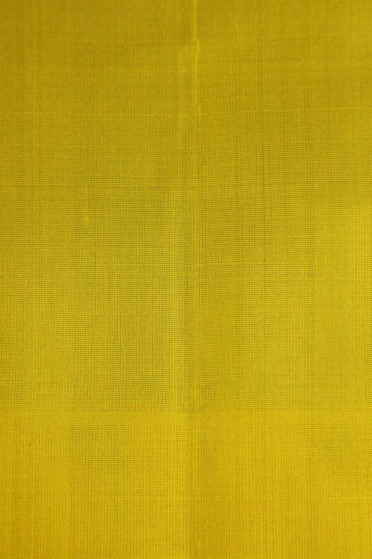 Arctic Blue Soft Silk Saree with Gold Zari Vaira Oosi view 3