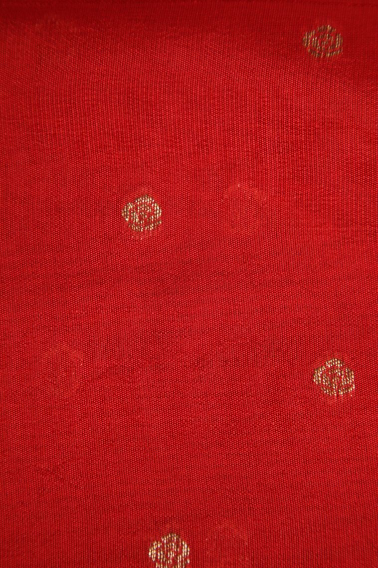 Indigo Blue Banaras Sarees with Antic Zari Animal  Mottif view 3
