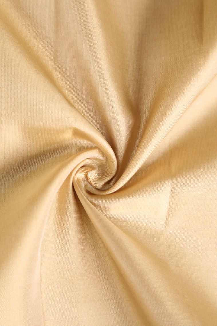 Cream White Soft Silk Saree with Gold Zari Floral Puttas view 4