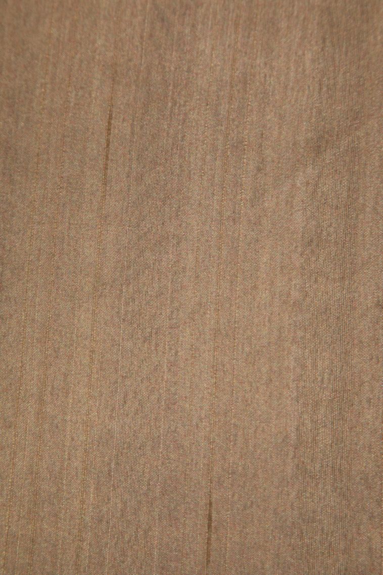 Oscar Gold Tussar Saree with Without Zari Zari Floral Patterns view 3