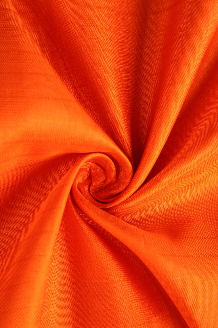 Tiger Orange Soft Silk Saree with Gold Zari Rudhracham Mottif view 4