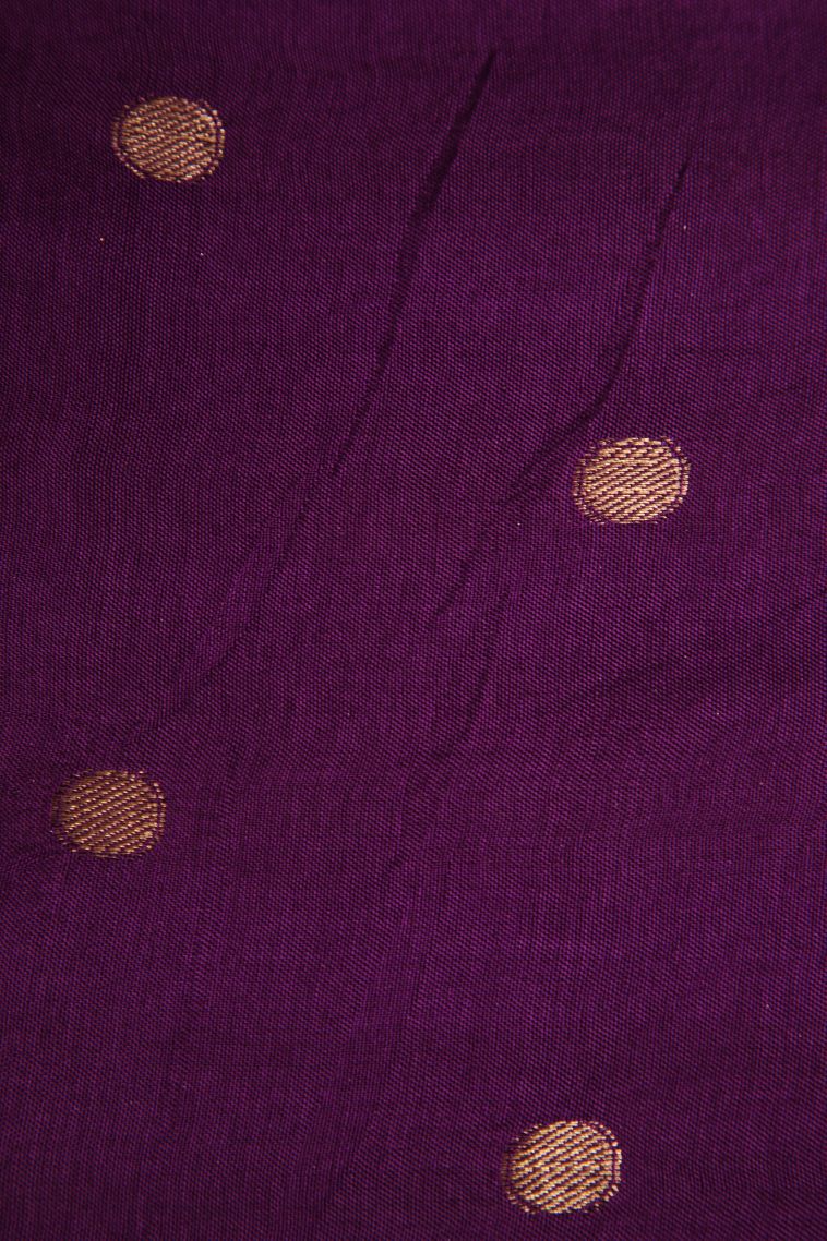 Strawberry Pink Fancy Saree with Gold Zari Temple Pattern view 3