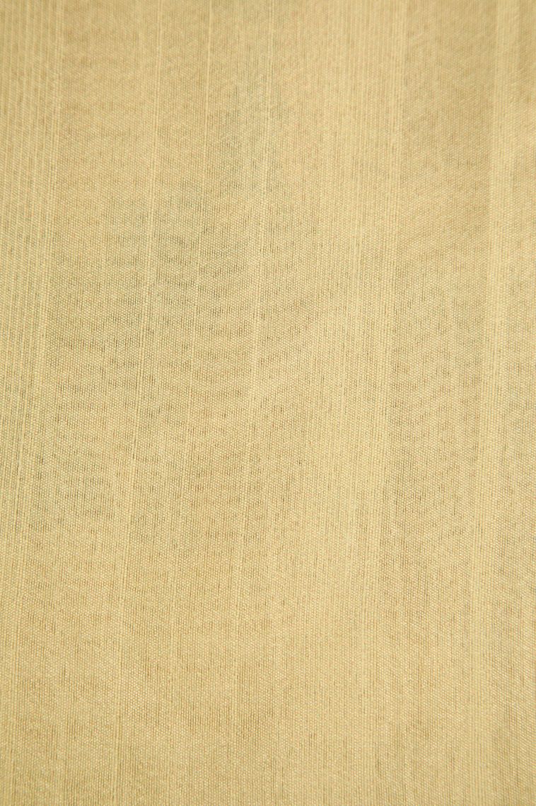 Shortbread Yellow Semi Tussar Silk with Without Zari Zari Floral Patterns view 3