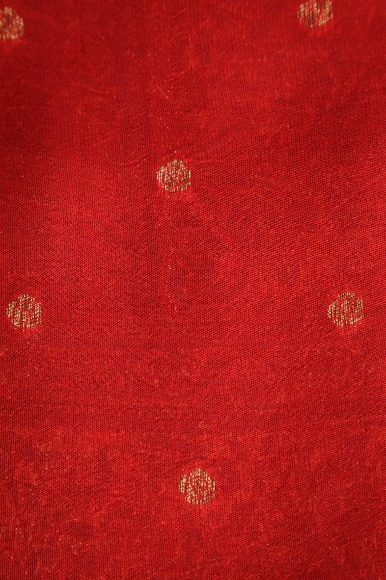 Cobalt Blue Banaras Sarees with Antic Zari Animal  Mottif view 3