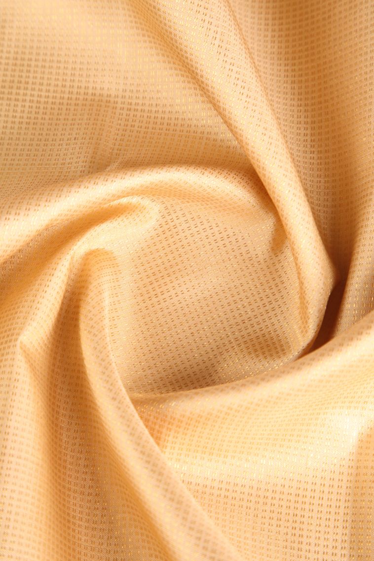 Cream White Kanchipuram Silk Sarees with Gold Zari Vaira Oosi view 4